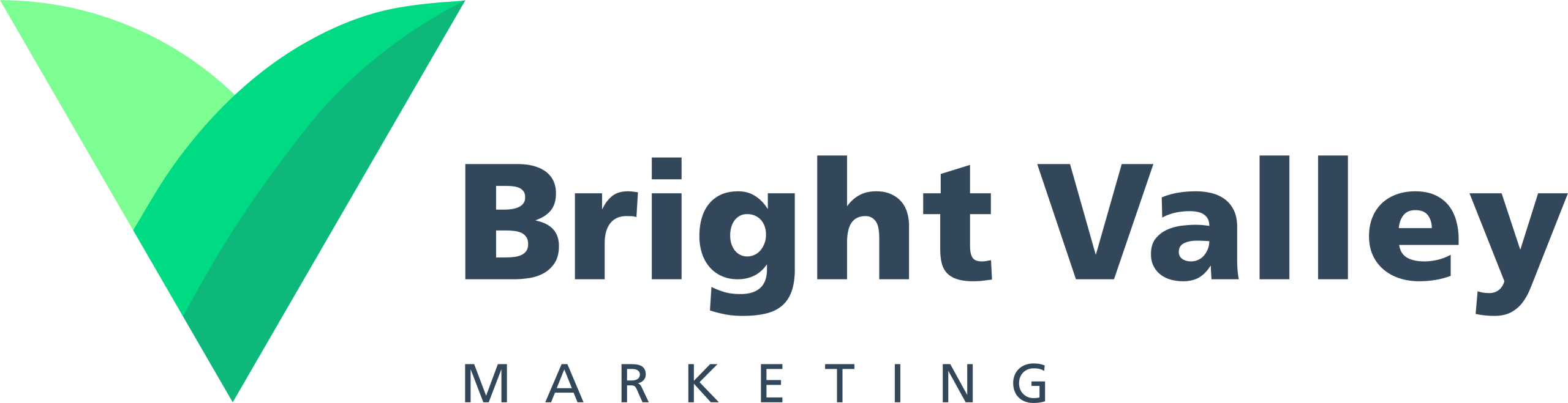 Bright Valley Marketing