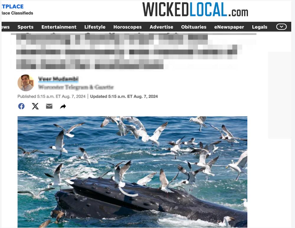wicked local media placement